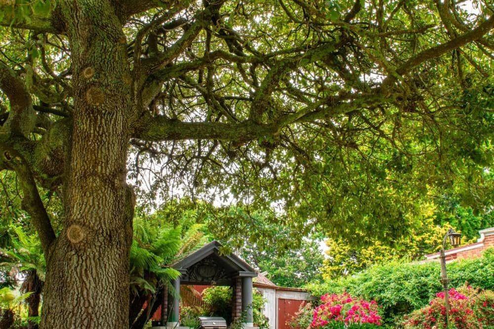 المظهر الخارجي