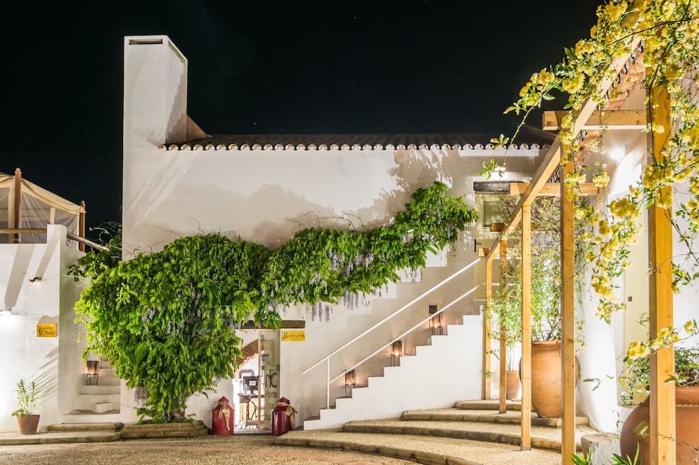 المظهر الخارجي