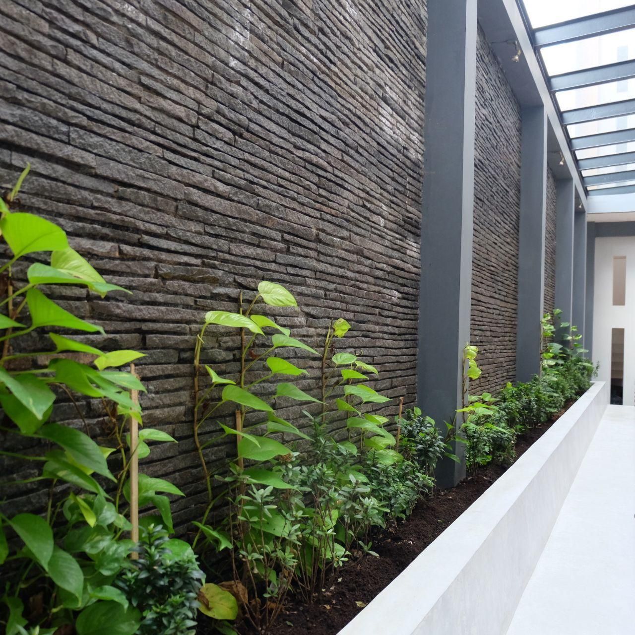 المظهر الخارجي