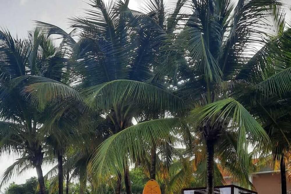 المظهر الخارجي