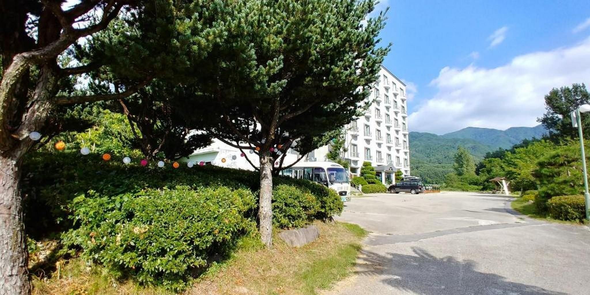 المظهر الخارجي