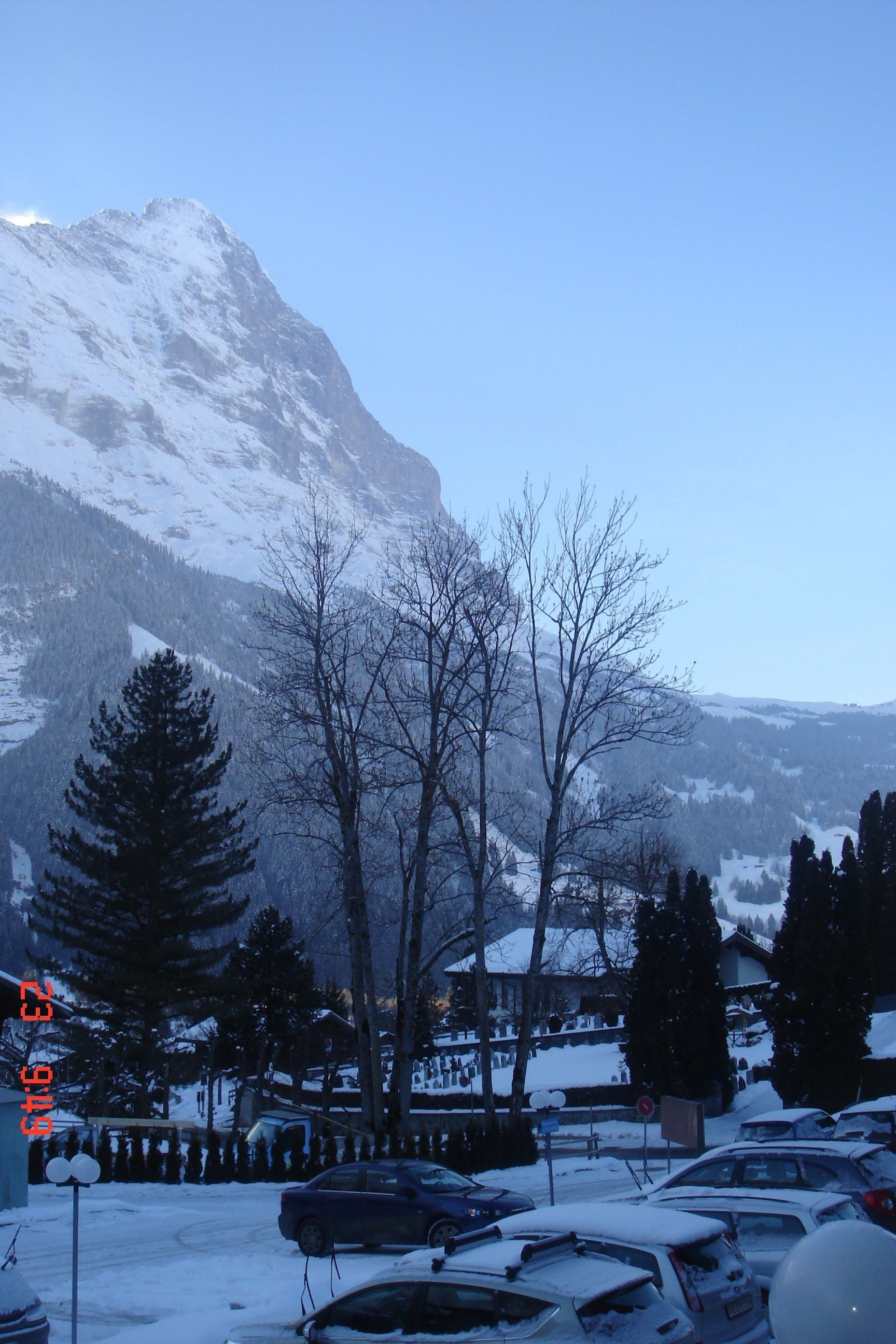 المظهر الخارجي