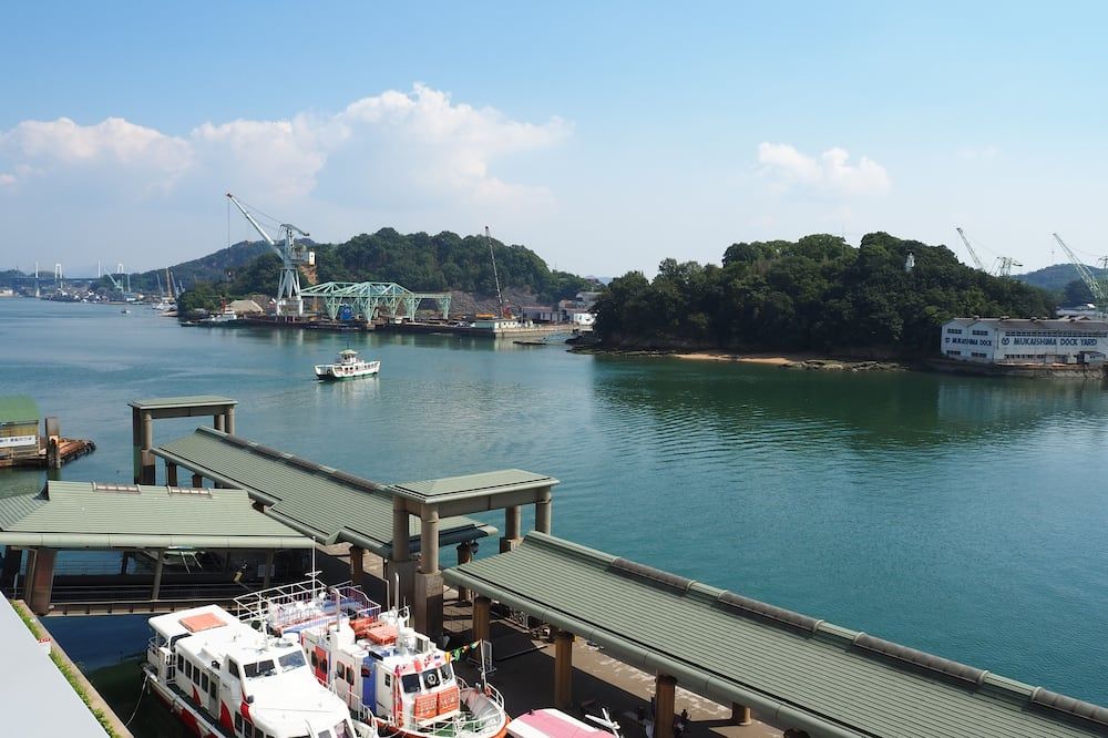 المظهر الخارجي