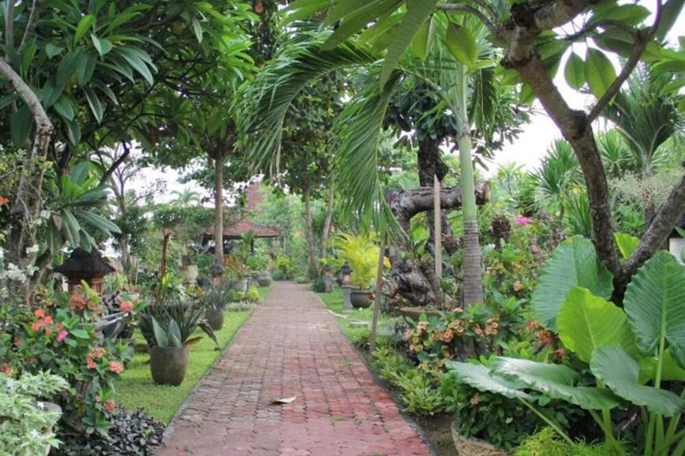 المظهر الخارجي