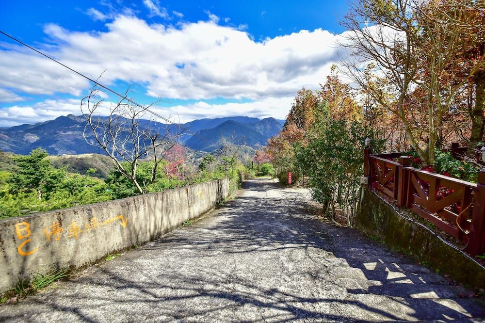 المظهر الخارجي