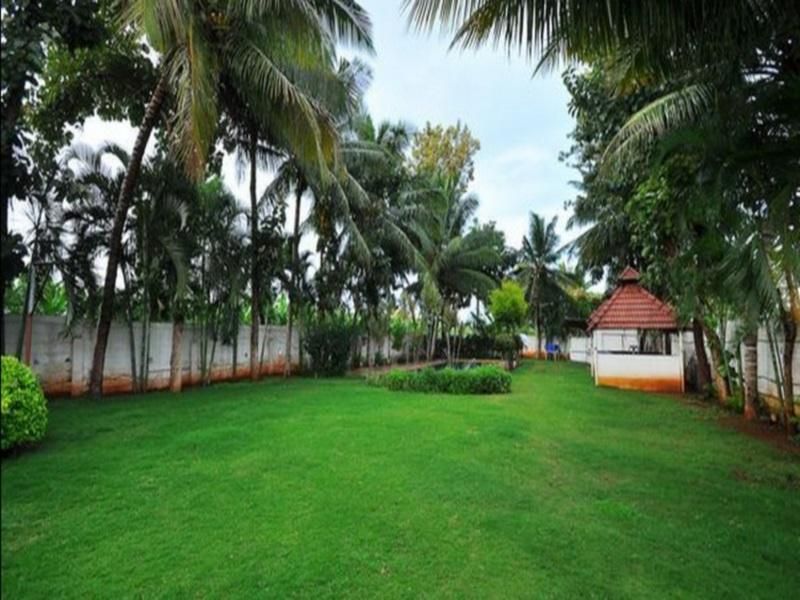 المظهر الخارجي