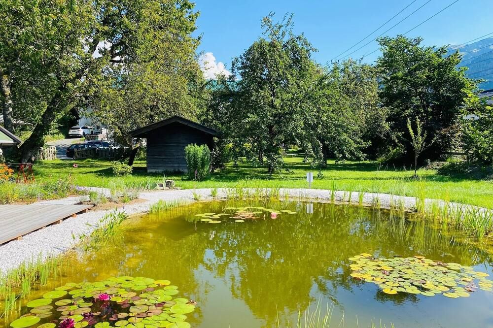 المظهر الخارجي