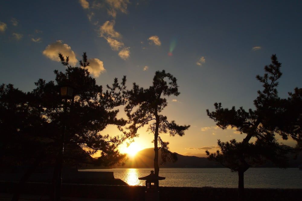 المظهر الخارجي