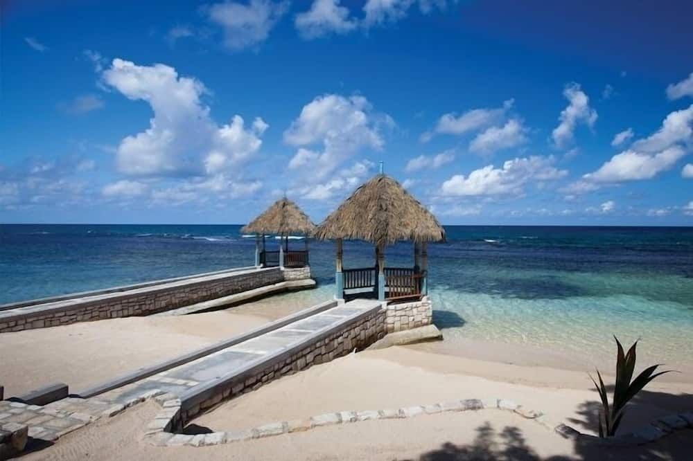 شاطئ صورة