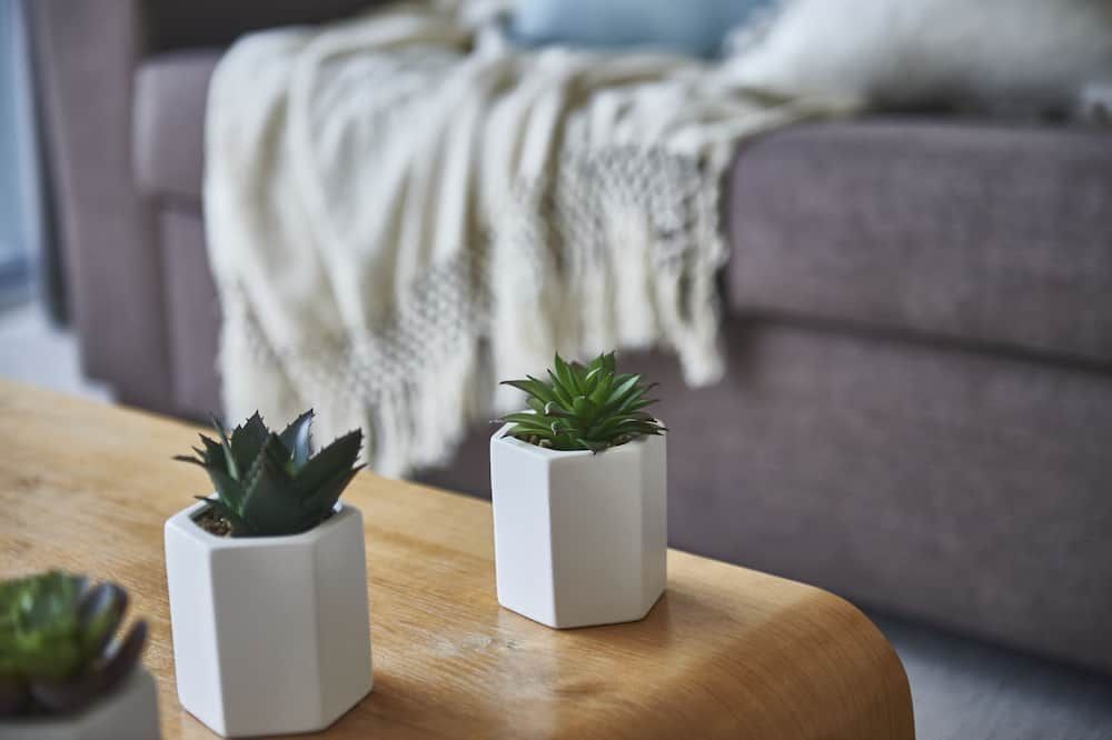 وسائل راحة في الغرف