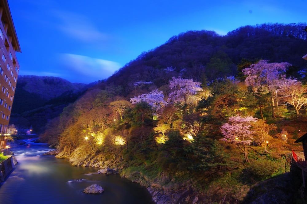 المظهر الخارجي