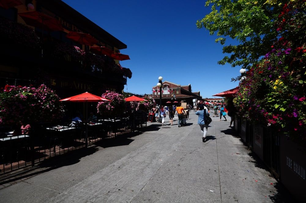 المظهر الخارجي