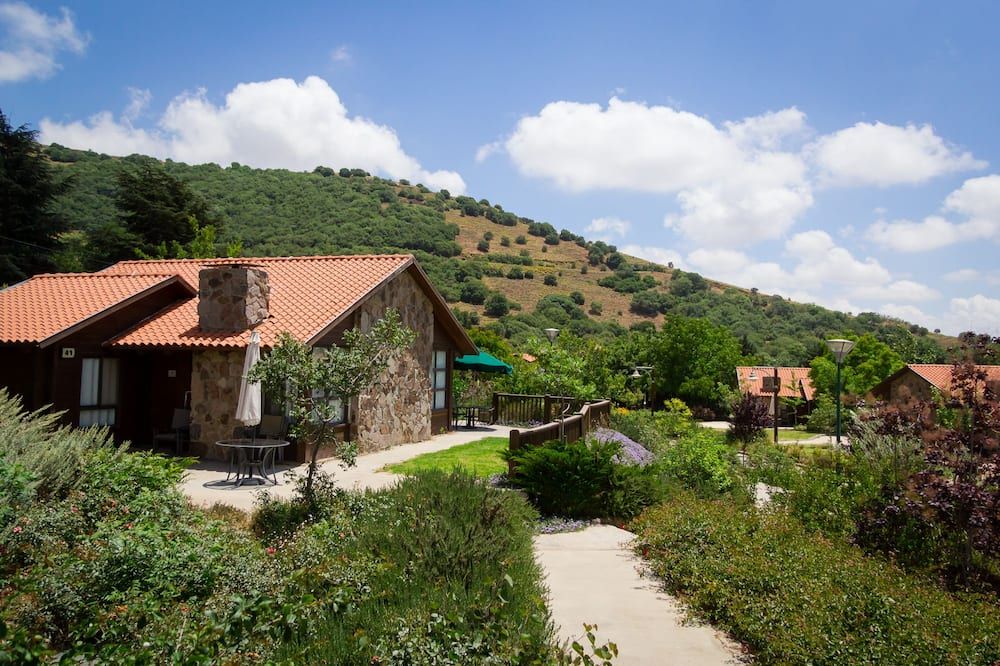 المظهر الخارجي