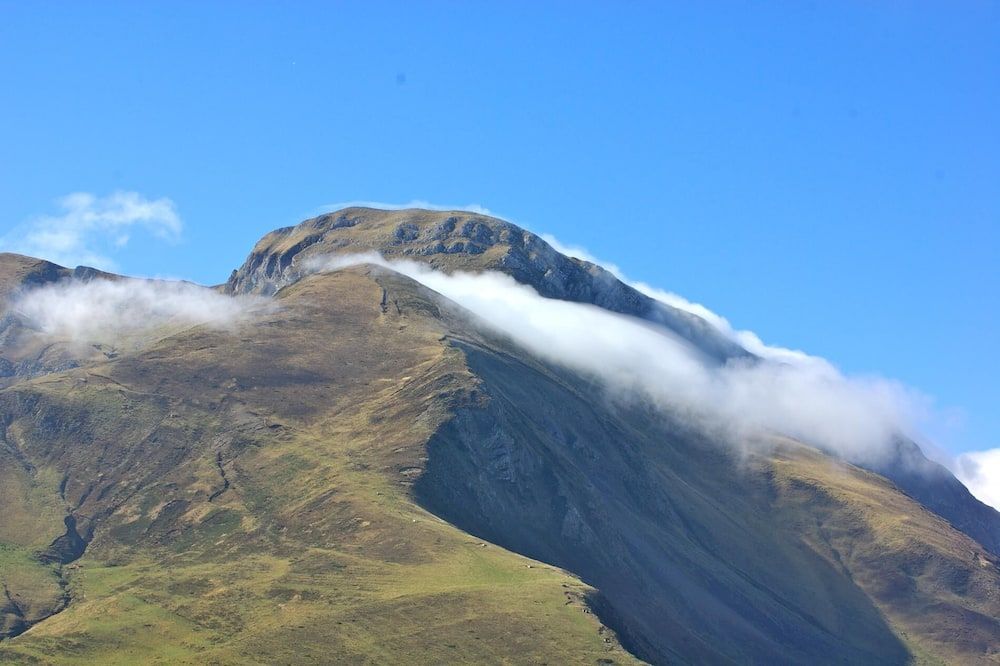 المظهر الخارجي