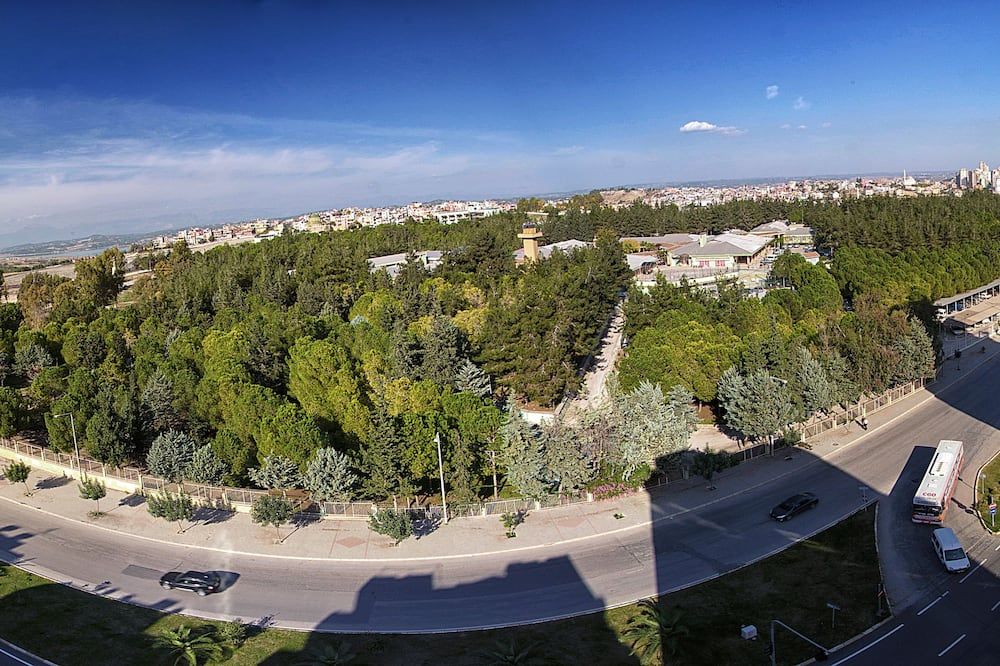 المظهر الخارجي