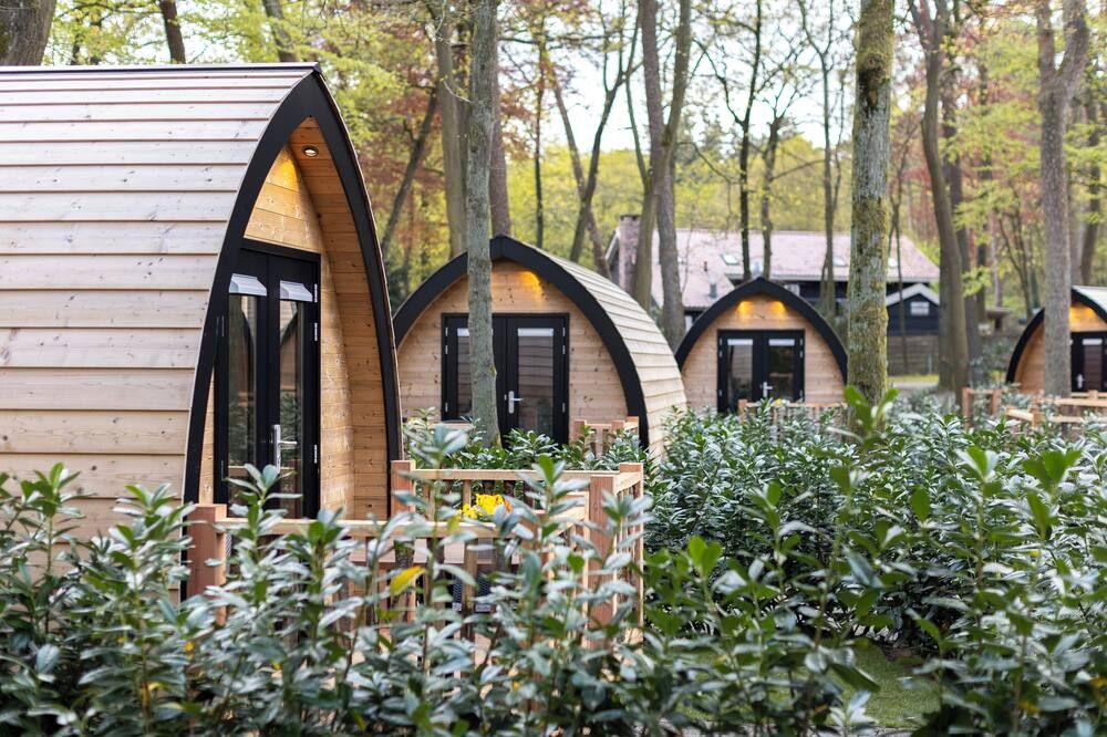 المظهر الخارجي