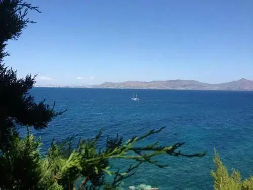 المظهر الخارجي