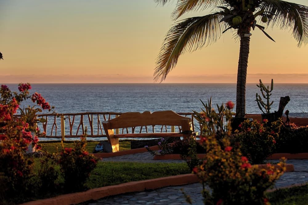 المظهر الخارجي