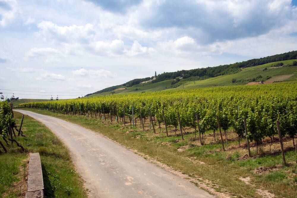 المظهر الخارجي