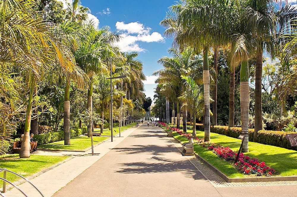 المظهر الخارجي