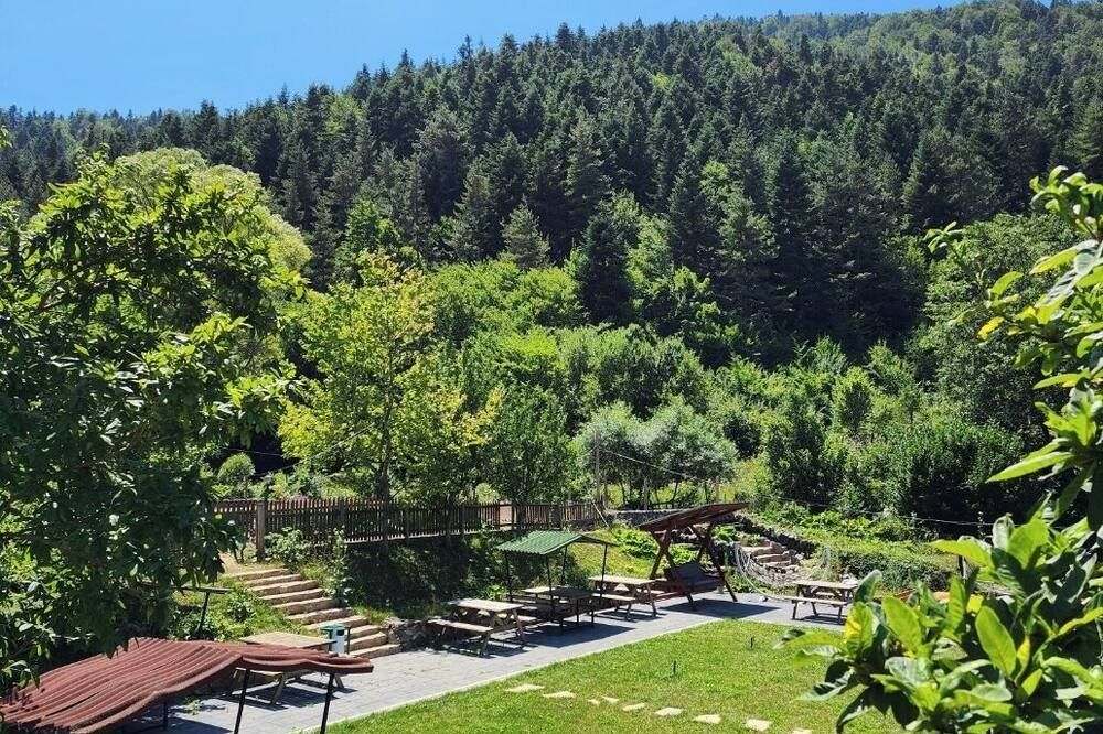 المظهر الخارجي