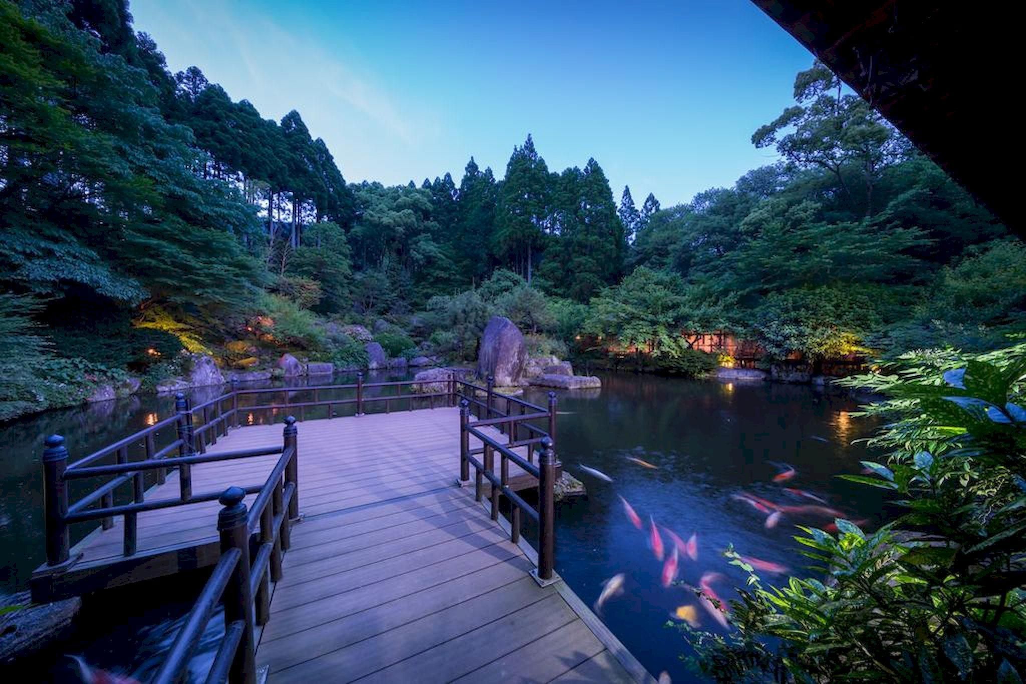 المظهر الخارجي