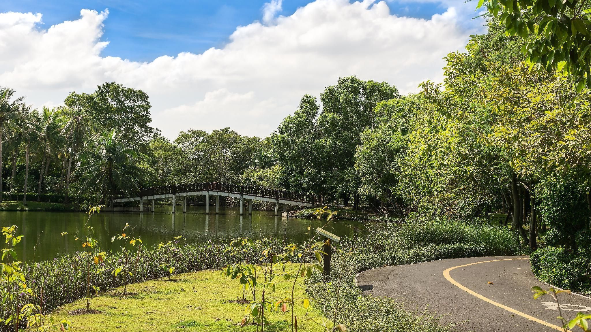 المظهر الخارجي