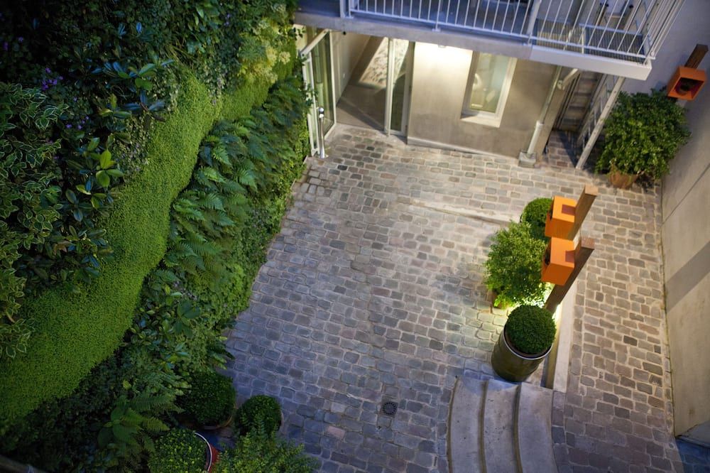 المظهر الخارجي