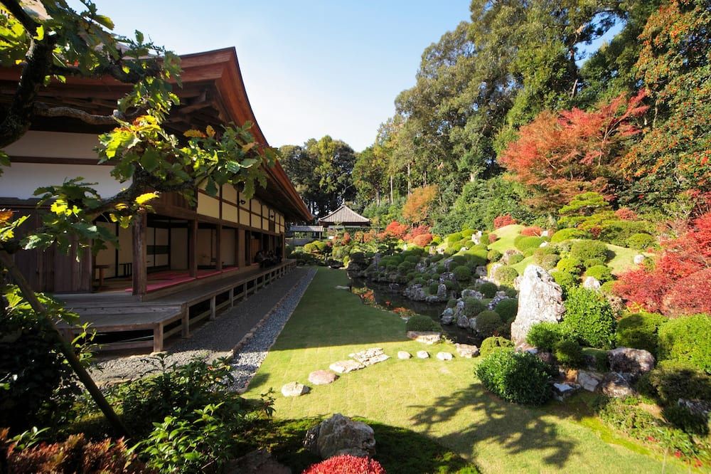 المظهر الخارجي