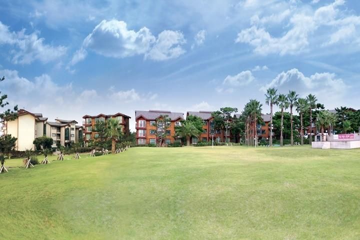 المظهر الخارجي