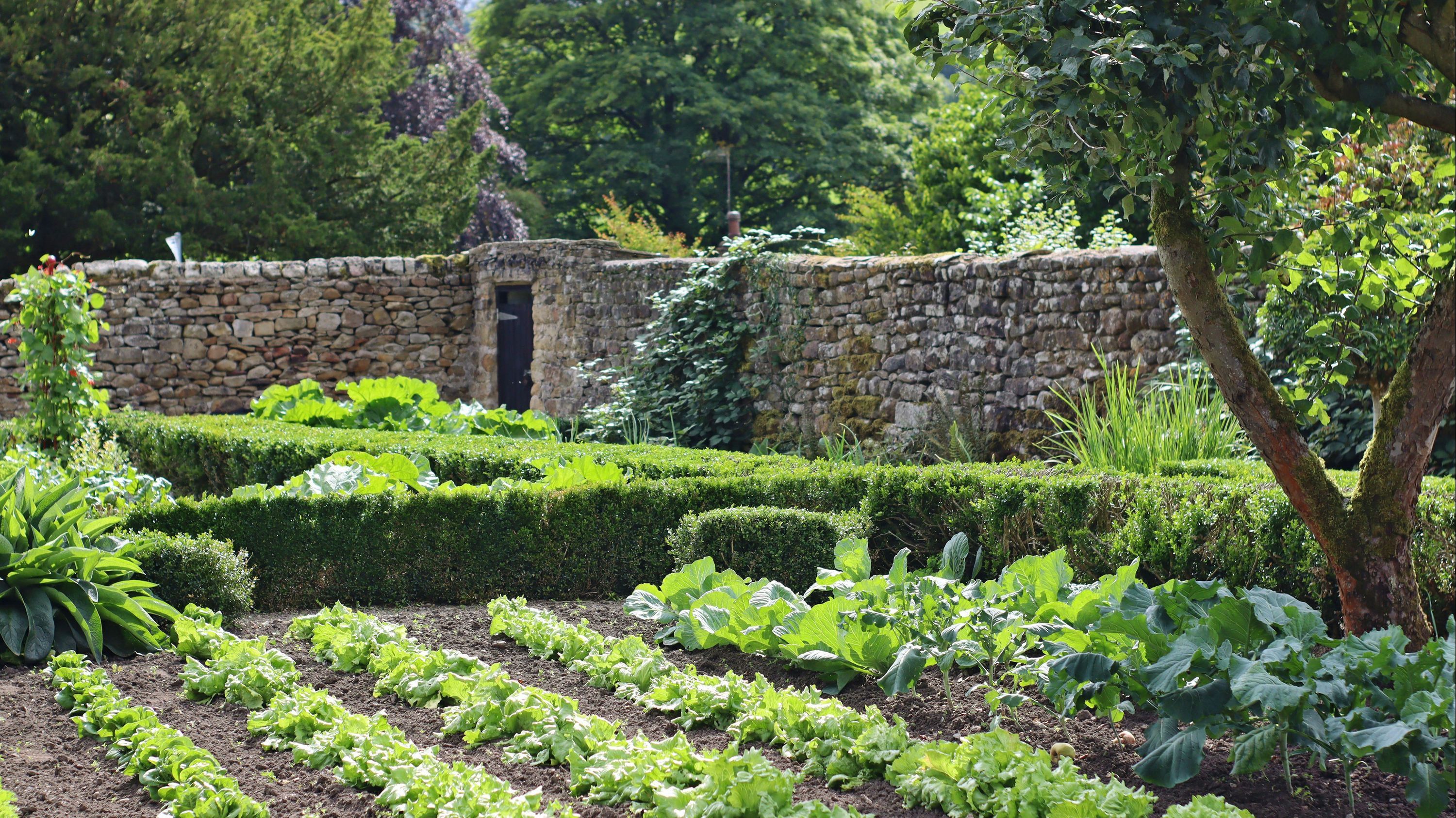 المظهر الخارجي