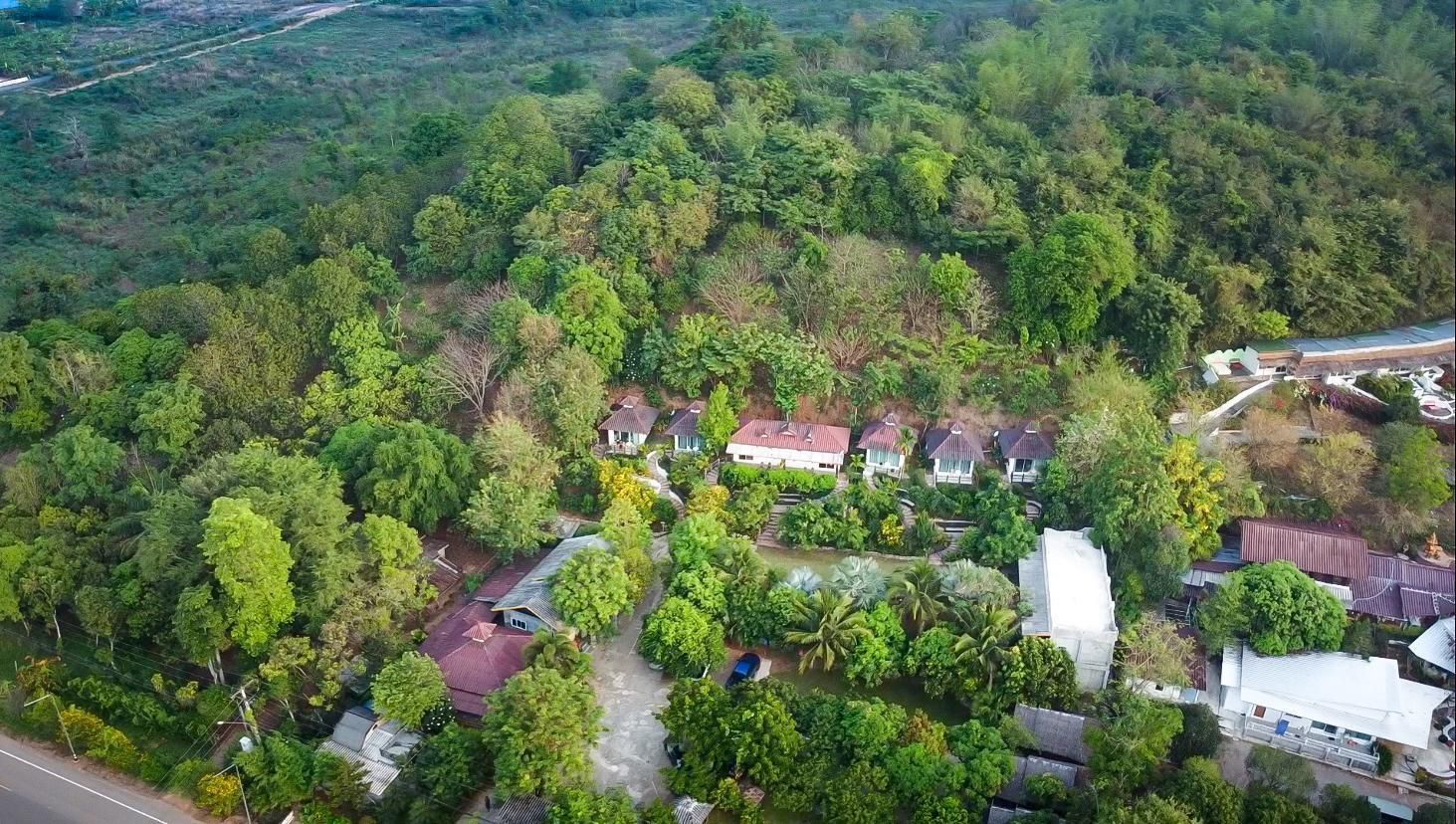 المظهر الخارجي