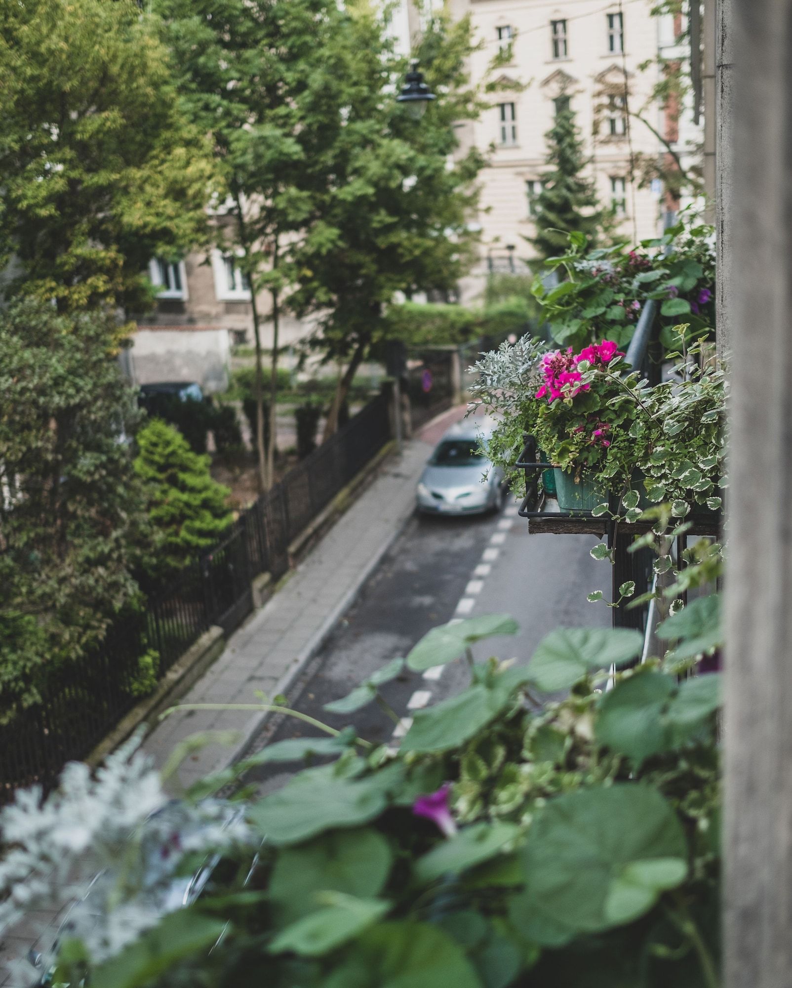 المظهر الخارجي