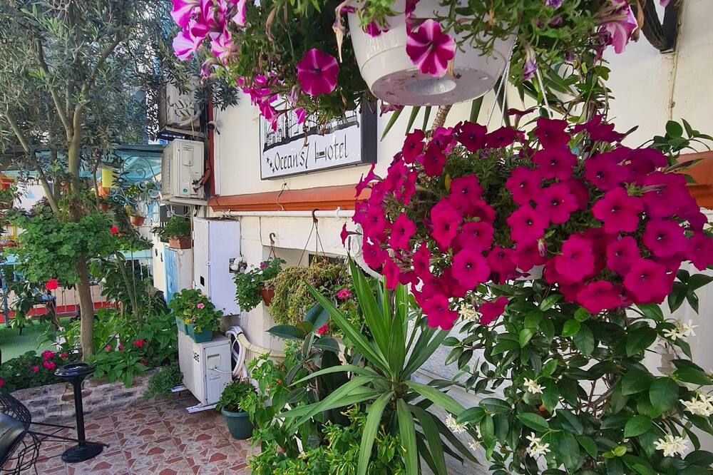 المظهر الخارجي