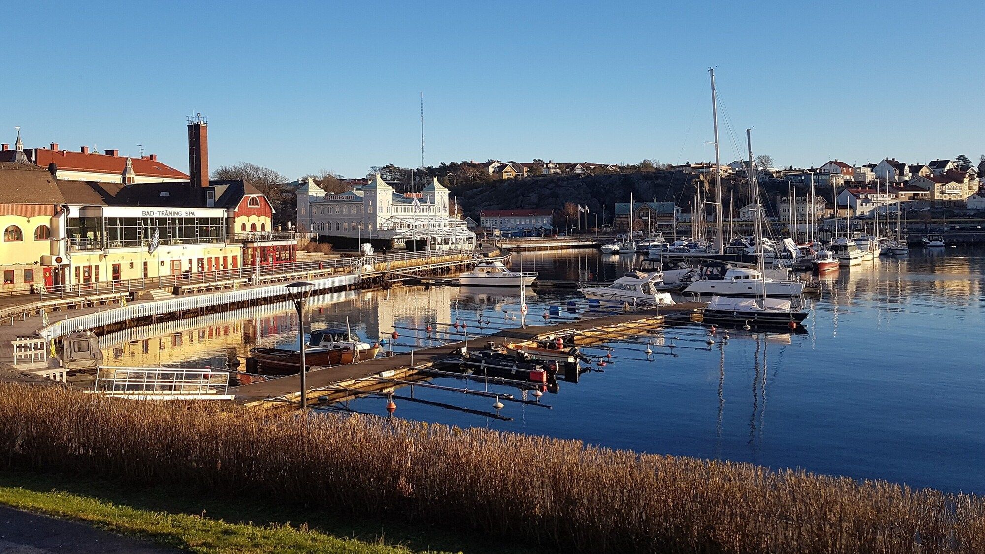 المظهر الخارجي