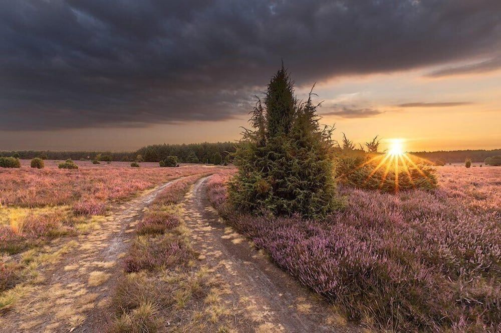 المظهر الخارجي