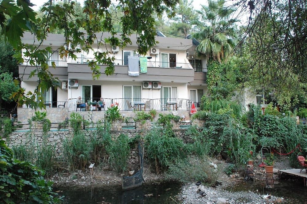 المظهر الخارجي