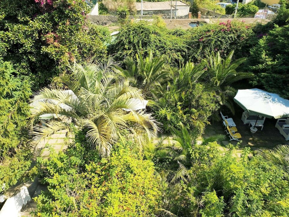 المظهر الخارجي