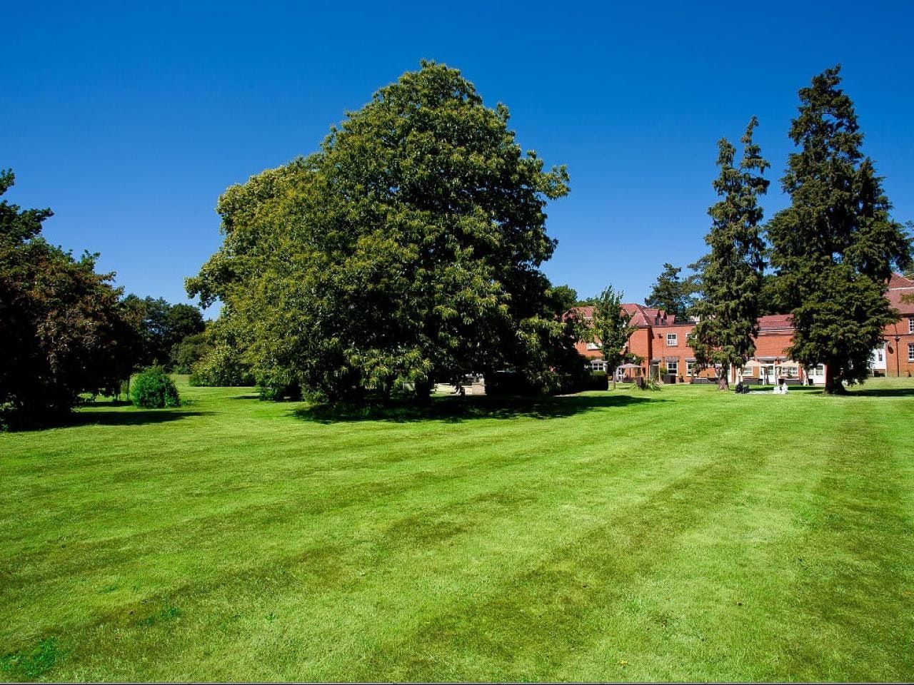 المظهر الخارجي