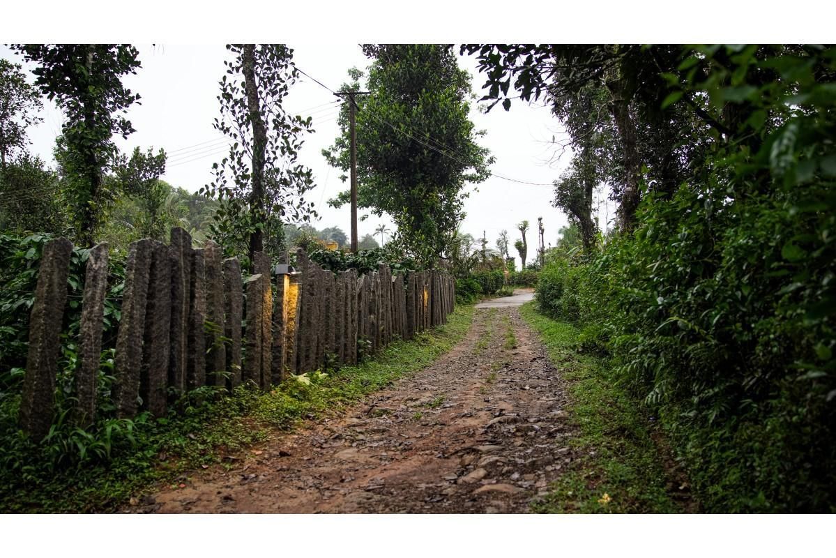 المظهر الخارجي