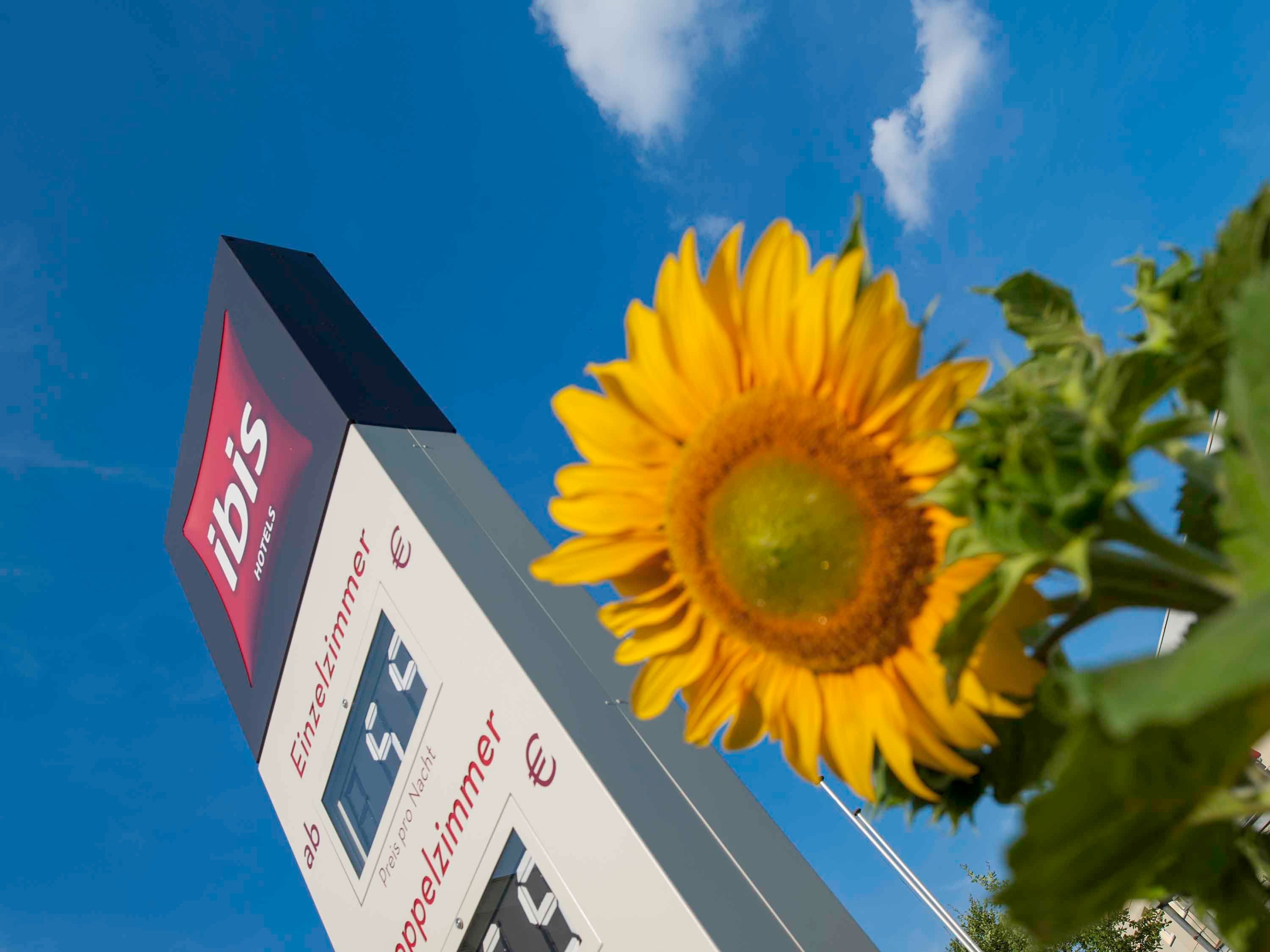 المظهر الخارجي