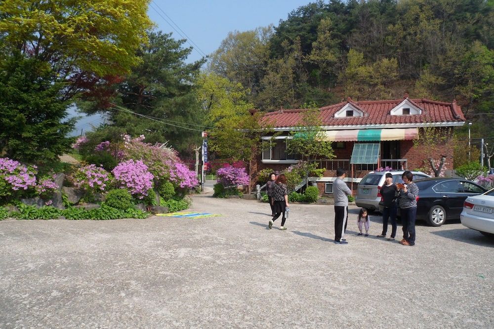 المظهر الخارجي