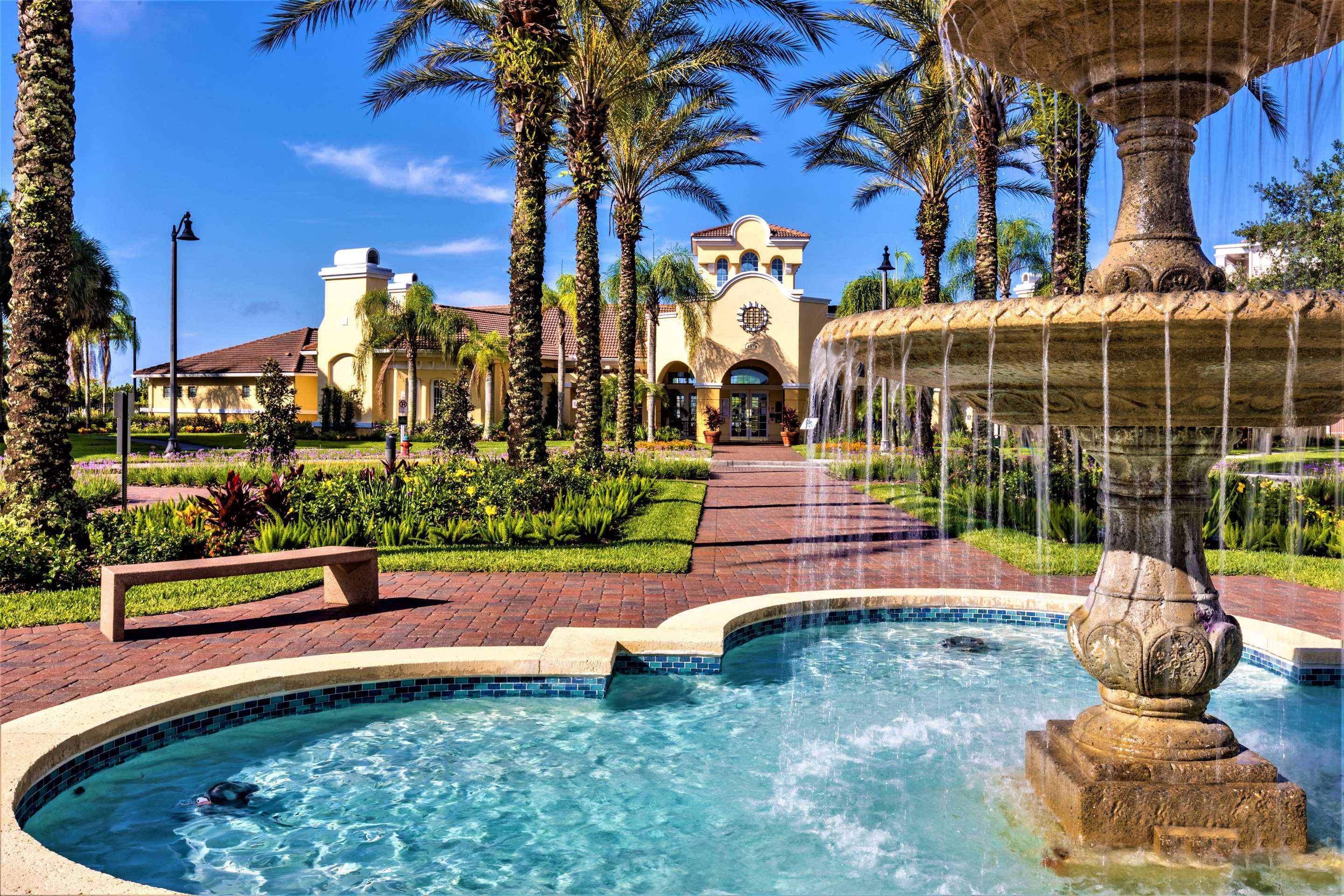 حوض السباحة