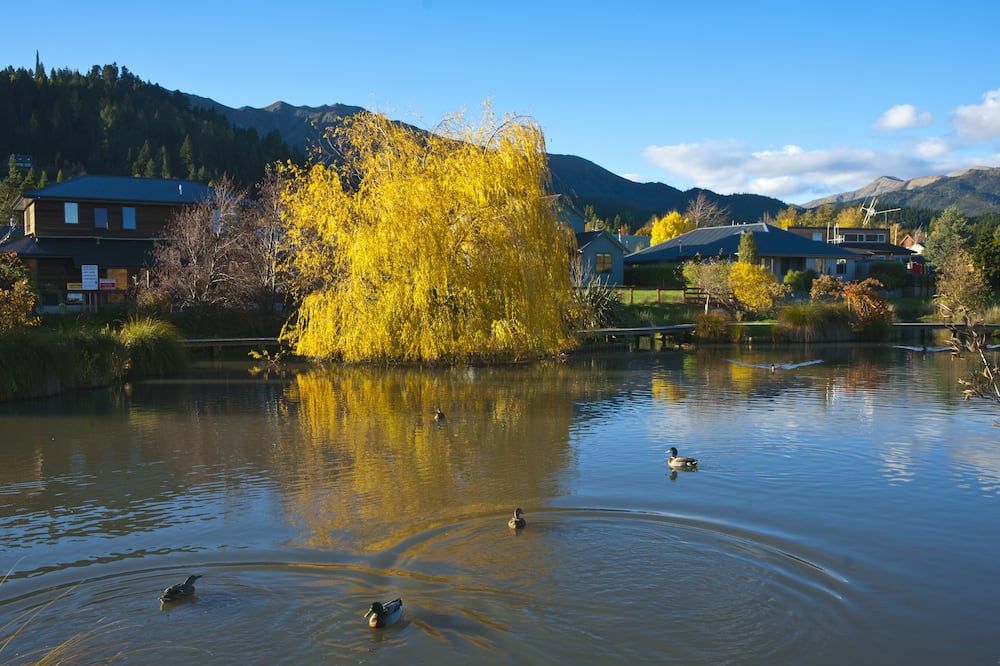 المظهر الخارجي