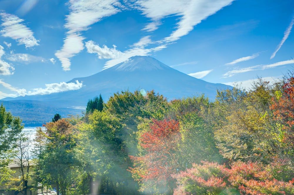 المظهر الخارجي