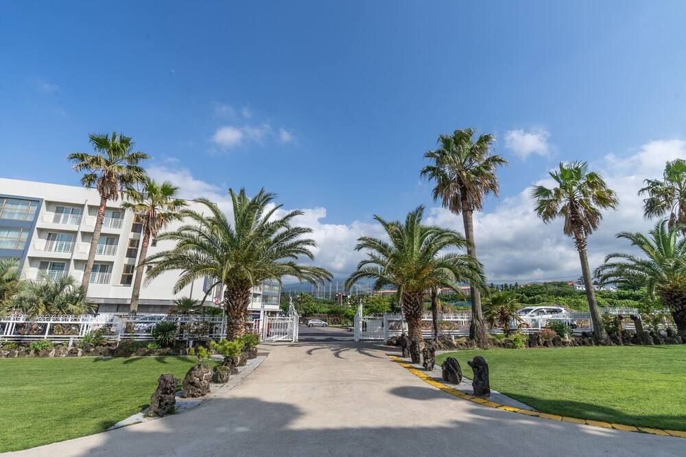 المظهر الخارجي