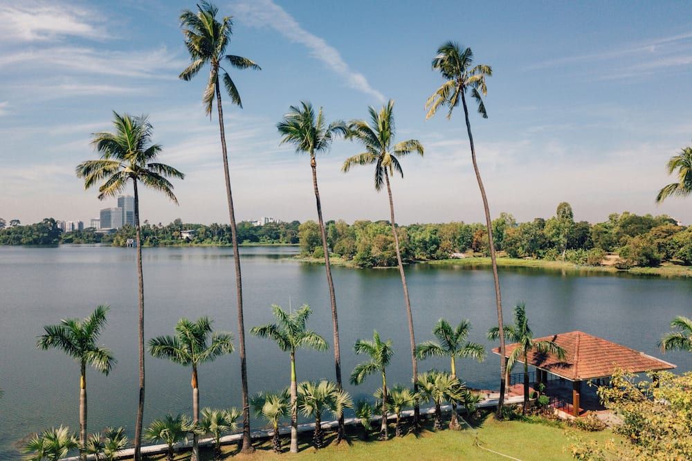 المظهر الخارجي