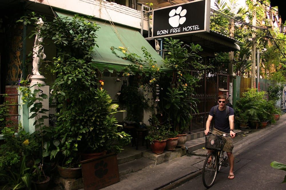 المظهر الخارجي