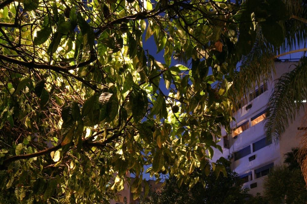 المظهر الخارجي