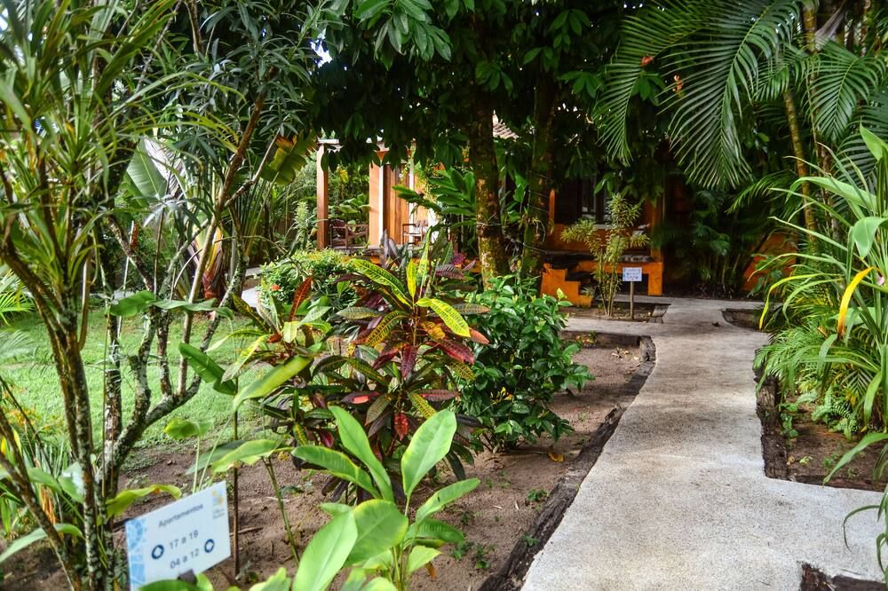 المظهر الخارجي